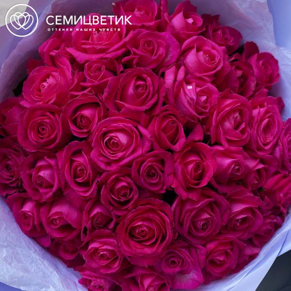 Букет из 45 малиновых роз 35-40 см (Россия)
