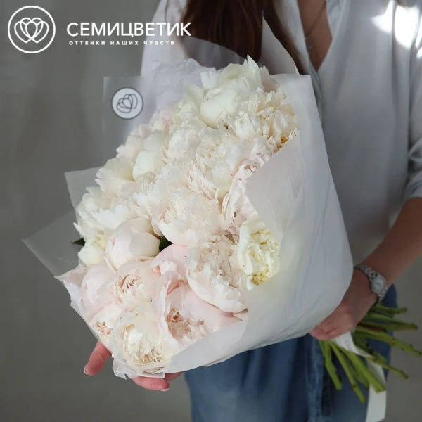Букет из 25 бело-кремовых пионов Bowl of cream Premium в прозрачной упаковке