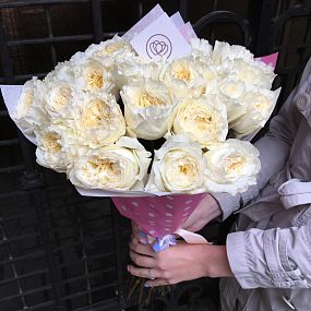 Букет из 25 белых пионовидных роз Patience 50 см (Эквадор)