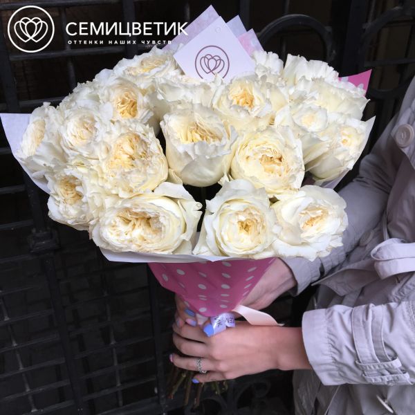 Букет из 25 белых пионовидных роз Patience 50 см (Эквадор)