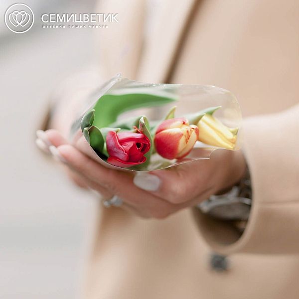3 тюльпана микс в плёнке ZL