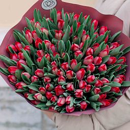 Букет из 101 красного тюльпана