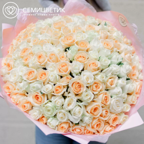 Букет из 151 белой и кремовой розы 40 см (Россия) в розовой пленке