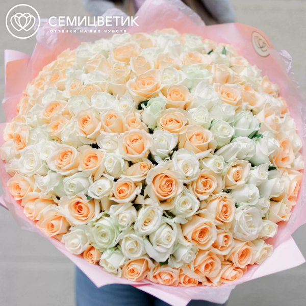 Букет из 151 белой и кремовой розы 40 см (Россия) в розовой пленке