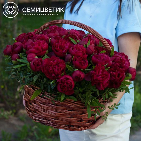 Композиция из 51 пиона Standart в корзине