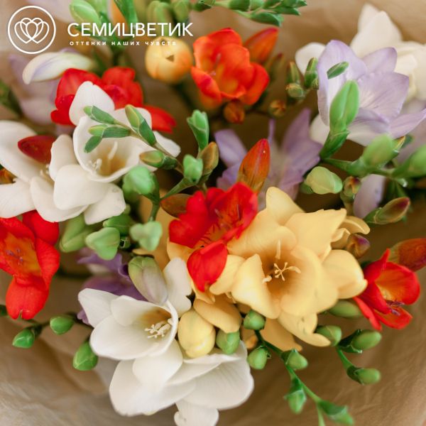Букет из 15 фрезий микс
