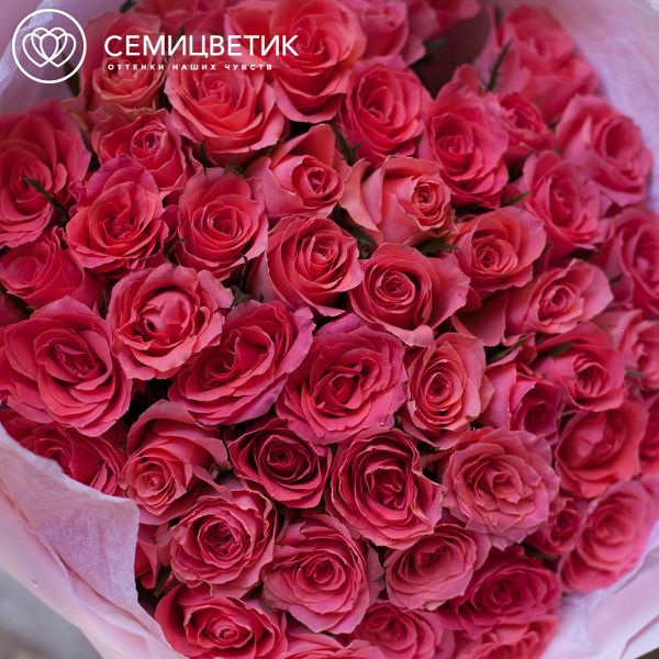 Букет из 51 коралловой розы 30 см (Кения)