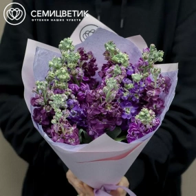 Букет из 11 махровых маттиол микс в сиреневой пленке