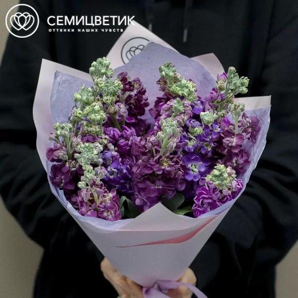 Букет из 11 махровых маттиол микс в сиреневой пленке