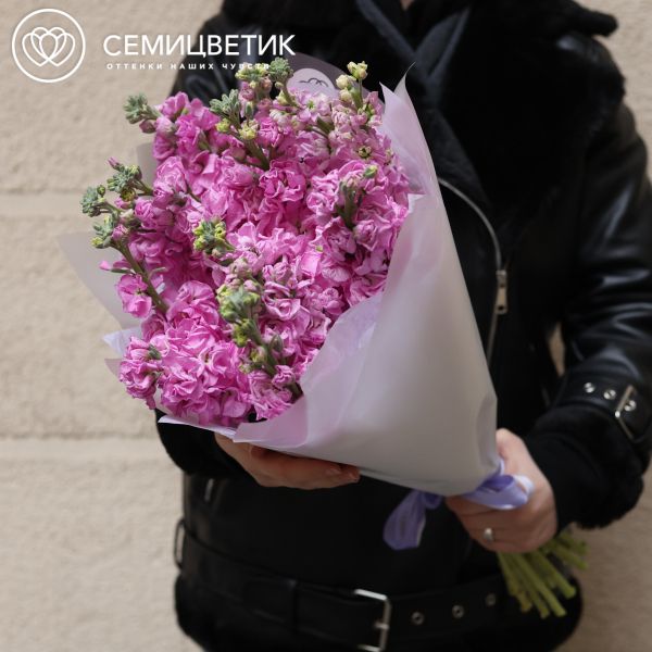Букет из 13 сиреневых махровых маттиол