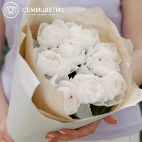 Букет из 9 нежно-розовых пионов Standart в кремовой пленке