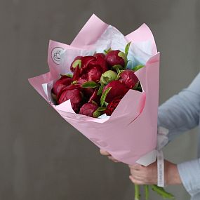 Букет из 11 бордовых пионов Premium