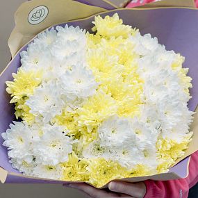 Букет из 15 желтых и белых кустовых хризантем