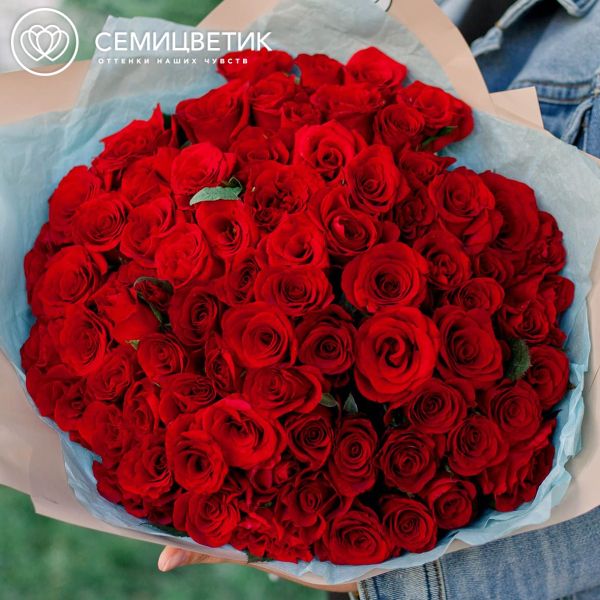 Букет из 75 красных с темной каймой роз Магия 35-40 см (Россия)