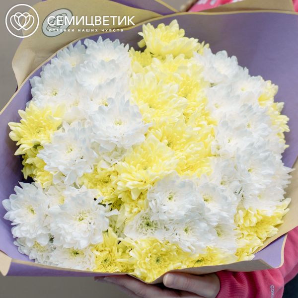 Букет из 15 желтых и белых кустовых хризантем