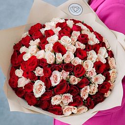 Букет из 101 красной и нежно-розовой розы 40 см (Кения) в кремовой пленке