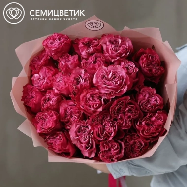 Букет из 25 сиреневых пионовидных роз Queen Crown 50 см (Эквадор) в розовой пленке