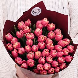Букет из 51 розового пионовидного тюльпана в бордовой пленке