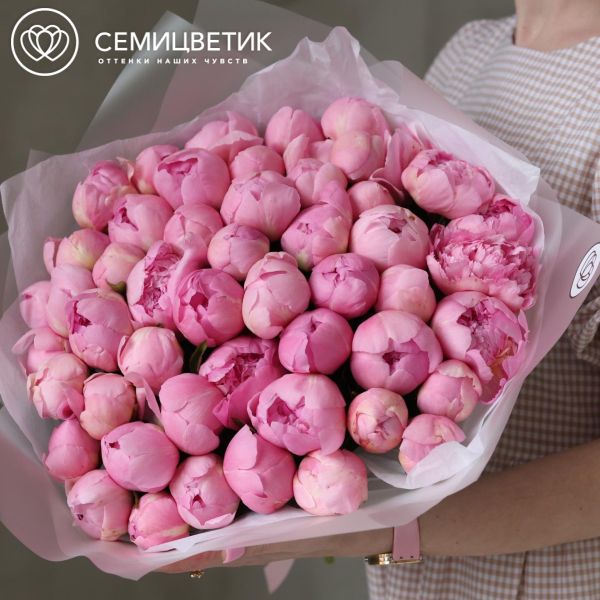 Букет из 51 нежно-розового пиона Angel Cheeks Premium