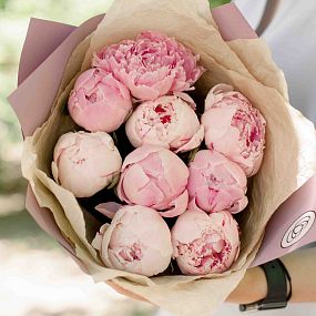 Букет из 9 розовых пионов Premium