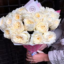Букет из 25 белых пионовидных роз Patience 50 см (Эквадор)