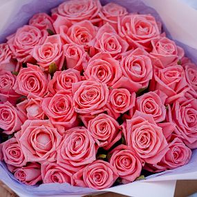 Букет из 35 коралловых роз 35-40 см (Россия)