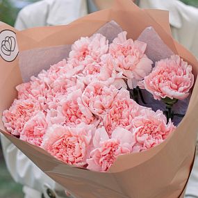 Мини-букет  из 15 розовых гвоздик