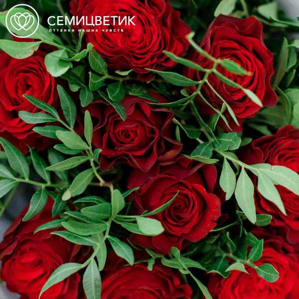 Букет из 9 красных пионовидных роз Hearts 40 см с фисташкой