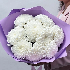 Монобукет  из 9 одноголовых белых хризантем в розовой пленке