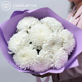 Букет из 9 одноголовых белых хризантем в розовой пленке
