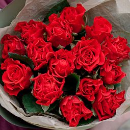 Букет из 15 красных роз 35-40 см (Россия)