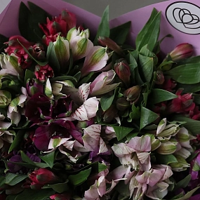 Букет из 25 альстромерий яркий микс