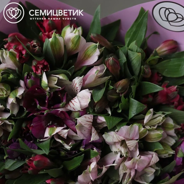 Букет из 25 альстромерий яркий микс