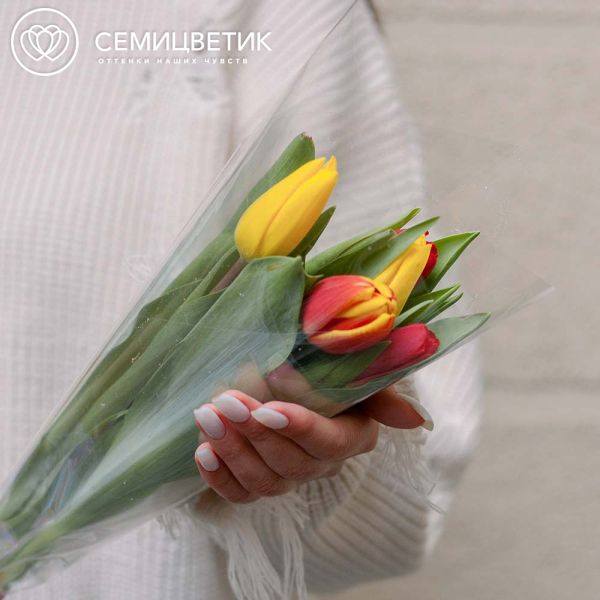 Букет из 5 тюльпанов микс 40 см в пленке