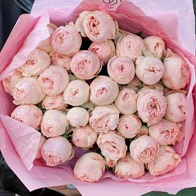 Монобукет  из 11 нежно-розовых кустовых пионовидных роз Mansfield Park 50 см (Эквадор)