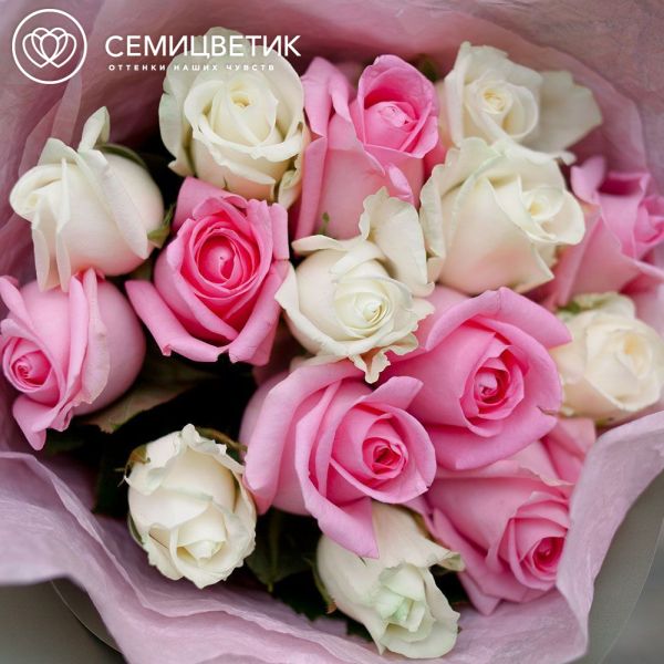 Букет из 15 белых и розовых роз 35-40 см (Россия)