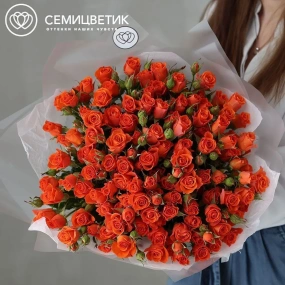 Букет из 25 оранжевых кустовых роз 40-50 см (Россия) в прозрачной упаковке