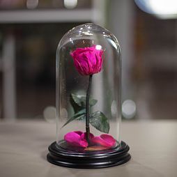 Ярко-розовая роза в колбе 22 см
