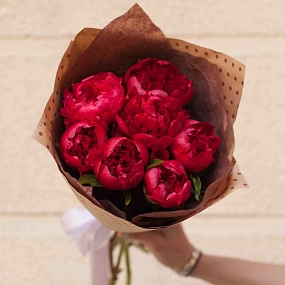 Букет из 7 бордовых пионов Standart в упаковке