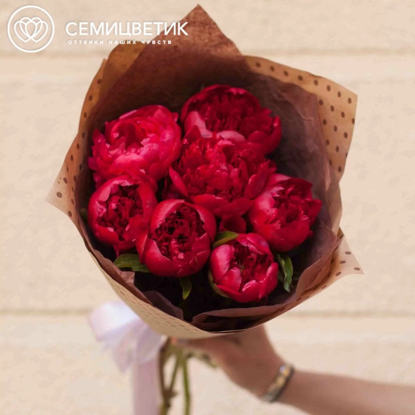 Букет из 7 бордовых пионов Standart в упаковке
