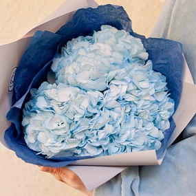 Монобукет  из 3 голубых гортензий в белой пленке