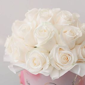 Букет в розовой шляпной коробке Amour Mini из 25 белых роз Vendela (Эквадор) 