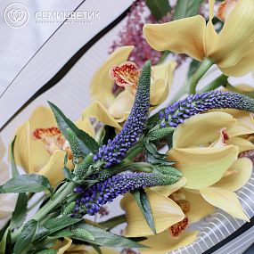 Букет из орхидеи желтой, вероники и астильбы в зеленой пленке