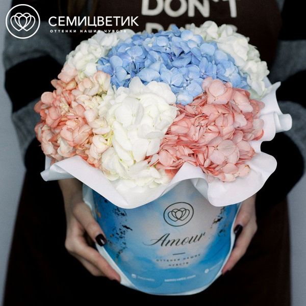 Букет в голубой шляпной коробке Amour Mini из 5 гортензий микс