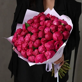 Букет из 51 ярко-розового пиона Red Sarah Bernhardt Premium в розовой упаковке