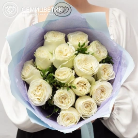 Букет из 15 белых пионовидных роз Titanium 40 см с фисташкой в голубой пленке