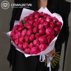 Букет из 51 ярко-розового пиона Red Sarah Bernhardt Premium в розовой упаковке