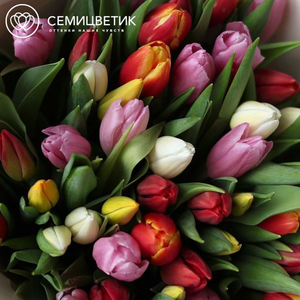 Букет из 51 тюльпана микс 40 см