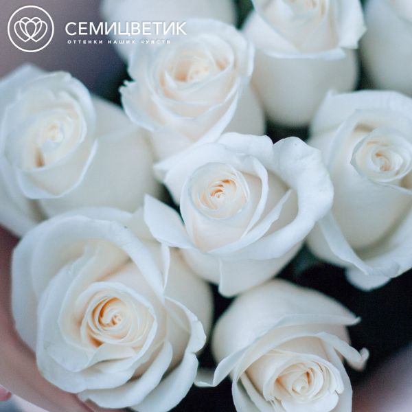 Букет из 11 белых роз Vendela 50 см (Эквадор) в кремовой пленке