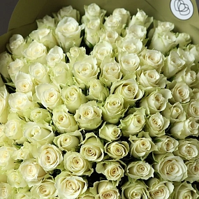 Букет из 101 белой розы 35-40 см (Кения) в оливковой пленке